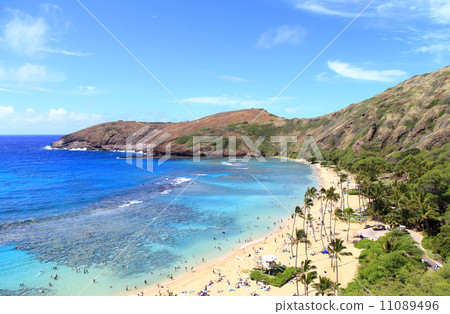 Sea and sandy beach of Hanauma Bay on Hawaii Oahu Sea and sandy beach of Hanauma Bay on Hawaii Oahu 11089496