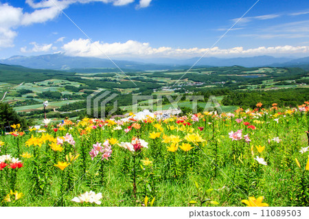 Yuri no Sato 11089503