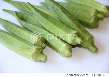 Okra 11090106