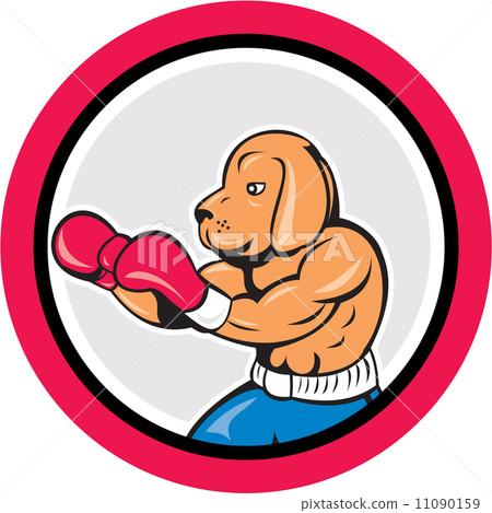 图库插图 dog boxer boxing circle cartoon