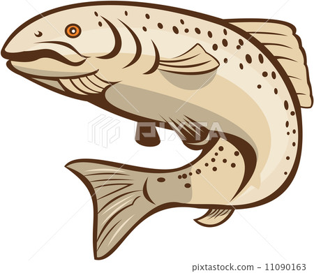 Rainbow Trout Jumping Cartoon Rainbow Trout Jumping Cartoon 11090163