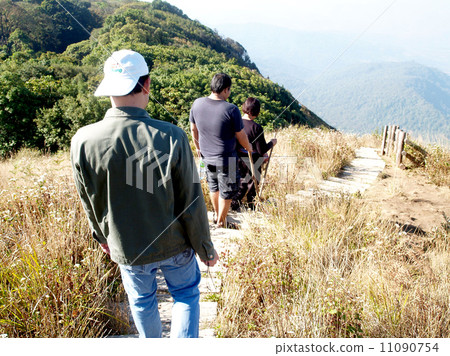 mountain, doi inthanon national park, chiangmai , Thailand 11090754