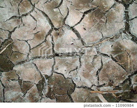 Dry land Cracked soil background 11090984