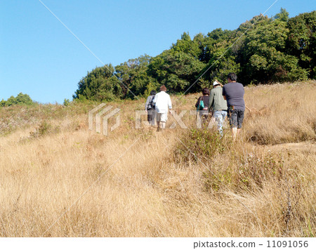 mountain, doi inthanon national park, chiangmai , Thailand 11091056
