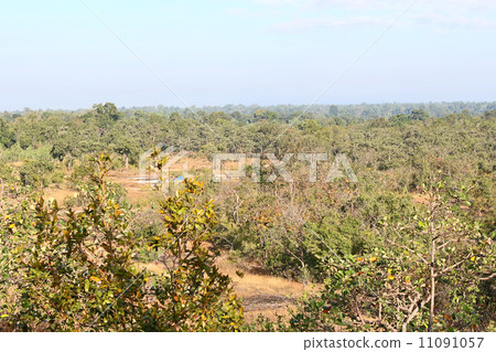 View lanscape of Pha Taem National Park in the Ubon Ratchathani View lanscape of Pha Taem National Park in the Ubon Ratchathani 11091057