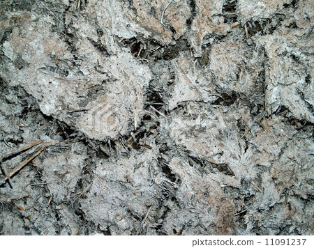 Dry land Cracked soil background 11091237