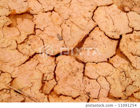Dry land Cracked soil background 11091254