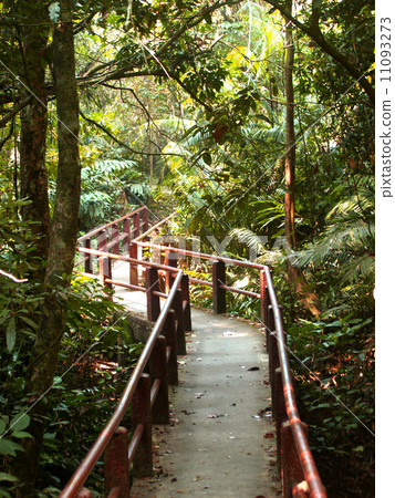 Khaoyai national park ,nakhonratchasrima ,thailand Khaoyai national park ,nakhonratchasrima ,thailand 11093273