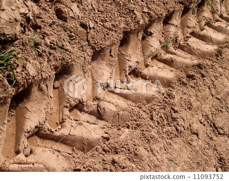 Wood Tree Texture Background Pattern 11093752