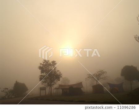 Khaoyai national park ,nakhonratchasrima ,thailand 11096286