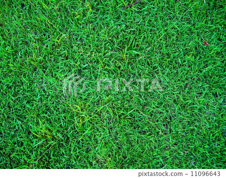 leaf and nature background leaf and nature background 11096643