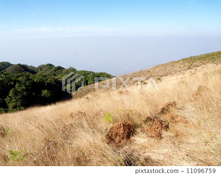 mountain, doi inthanon national park, chiangmai , Thailand mountain, doi inthanon national park, chiangmai , Thailand 11096759