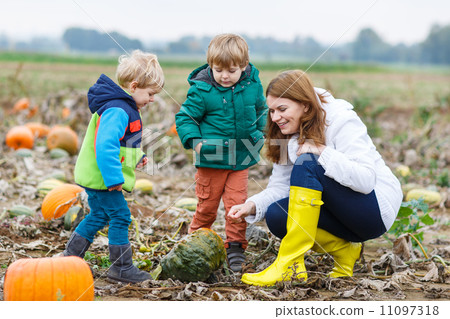 Mother and two little sons having fun on pumpkin patch. Mother and two little sons having fun on pumpkin patch. 11097318