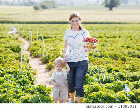 Young mother and little son on organic strawberry farm in summe 11098011