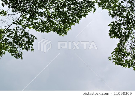 凱德和天空 凱德和天空 11098309