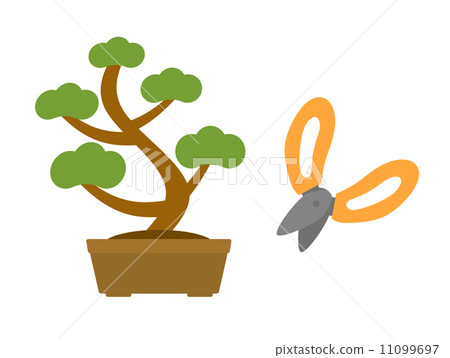 Bonsai and gardening scissors 11099697