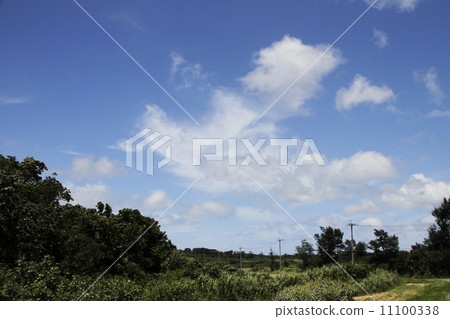 西表的風景 西表的風景 11100338