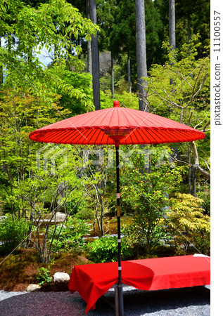 Umbrella and scarlet fur 11100557