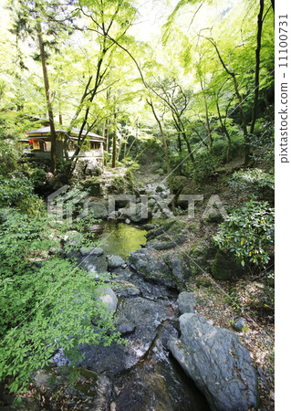 Minoh Otaki Mino Quasi-National Park Minoh Otaki Mino Quasi-National Park 11100731