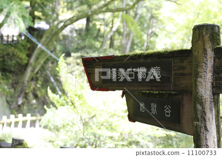 Minoh Otaki Mino Quasi-National Park Minoh Otaki Mino Quasi-National Park 11100733