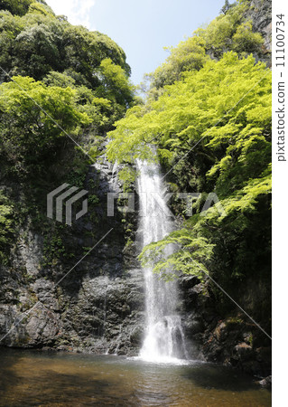 Minoh Otaki Mino Quasi-National Park Minoh Otaki Mino Quasi-National Park 11100734