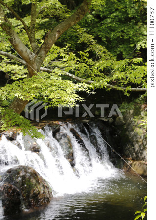 Minoh Otaki Mino Quasi-National Park Minoh Otaki Mino Quasi-National Park 11100737