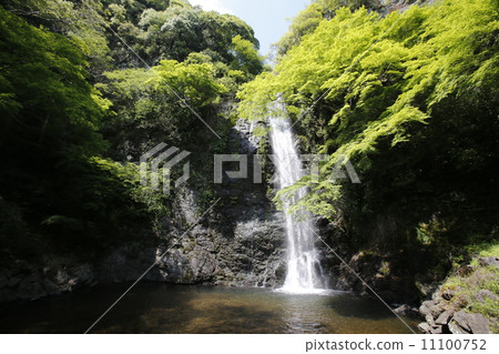 Minoh Otaki Mino Quasi-National Park 11100752
