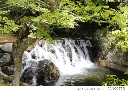 Minoh Otaki Mino Quasi-National Park Minoh Otaki Mino Quasi-National Park 11100753
