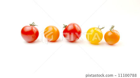 Aligned colorful tomatoes 11100788