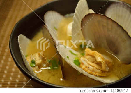 scallop scallop 11100942