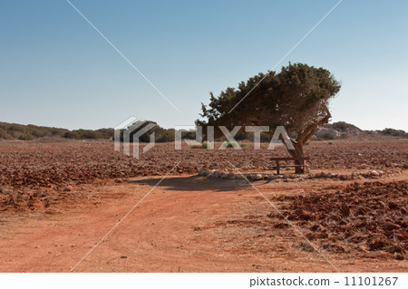 Crete Landscape 11101267