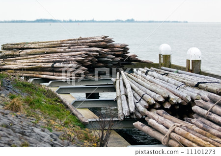 wood posts heaps on a sea bank 11101273