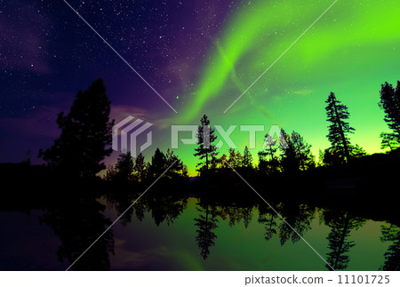 Northern lights aurora borealis in the night sky 11101725