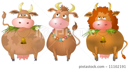 Cows, set Cows, set 11102191