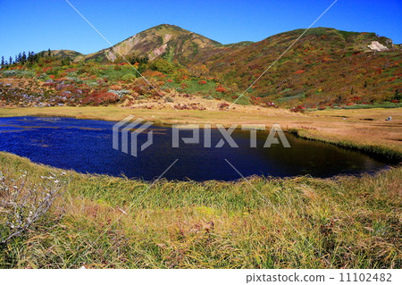 池田和Mt. Fling山在秋葉的tengu的庭院裡 11102482