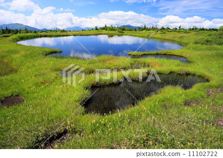 夏天Mt. Naeba山頂濕地月亮 11102722