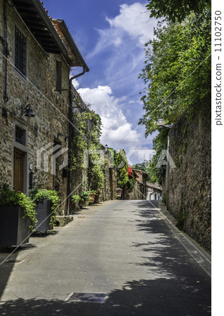 Vintage italian houses with flowers 11102750