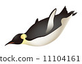 Emperor Penguin (swimming) 11104161