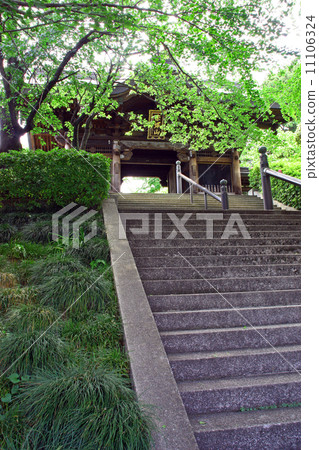 Nohasutera 11106324