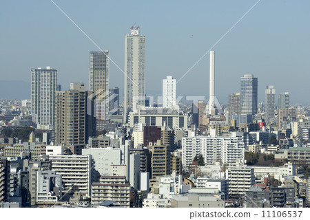 文京區街道 11106537