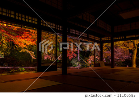 Autumn leaves and gardens 11106582