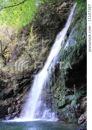 在Kazura Bridge“琵琶沒有瀑布”附近的Tokijima縣三好市巖谷 11107267