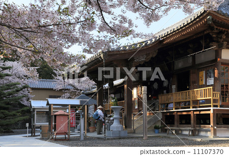 Shikoku Shrine Platform No. 67 Buddhist Temple of Daikyo-ji Temple in front of the main hall and cherry blossoms Shikoku Shrine Platform No. 67 Buddhist Temple of Daikyo-ji Temple in front of the main hall and cherry blossoms 11107370
