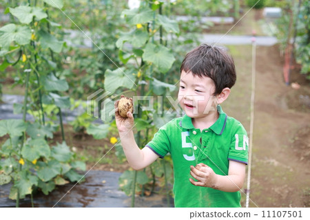 Potato hot ♪ Potato hot ♪ 11107501