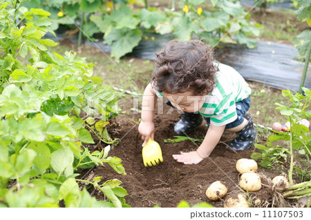 Potato hot ♪ 11107503