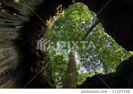 來自Takatoriyama的參與股票的風景 11107548