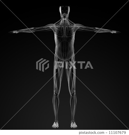 male muscles male muscles 11107679