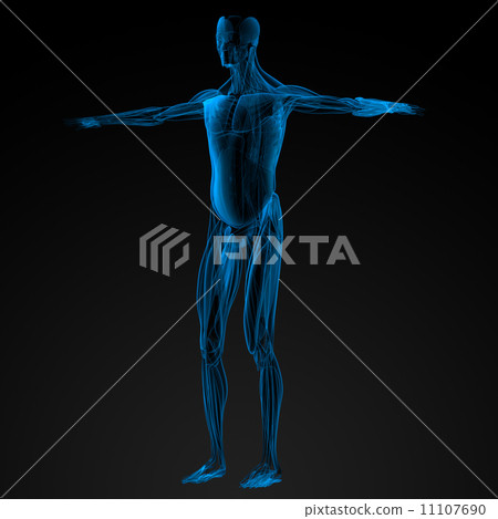 male muscles male muscles 11107690