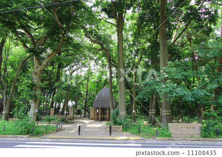 Mitsui no Mori Park 11108435