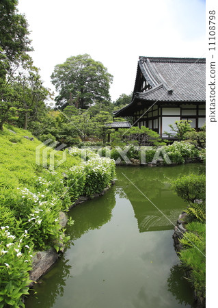 Half-summer pond 11108798